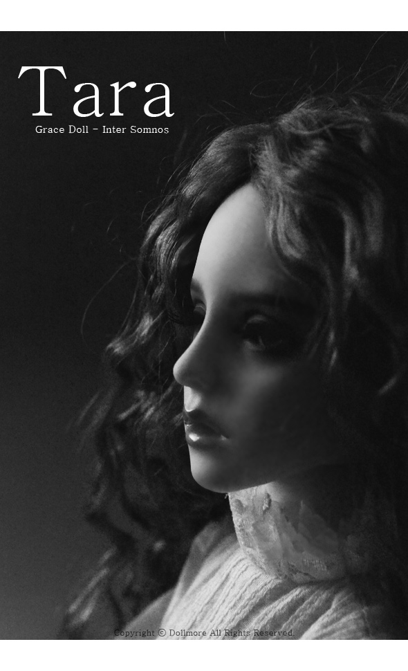 買い新作[Dollmore] 球体関節人形 Grace Doll - Inter Somnos : Tara - LE 30 本体