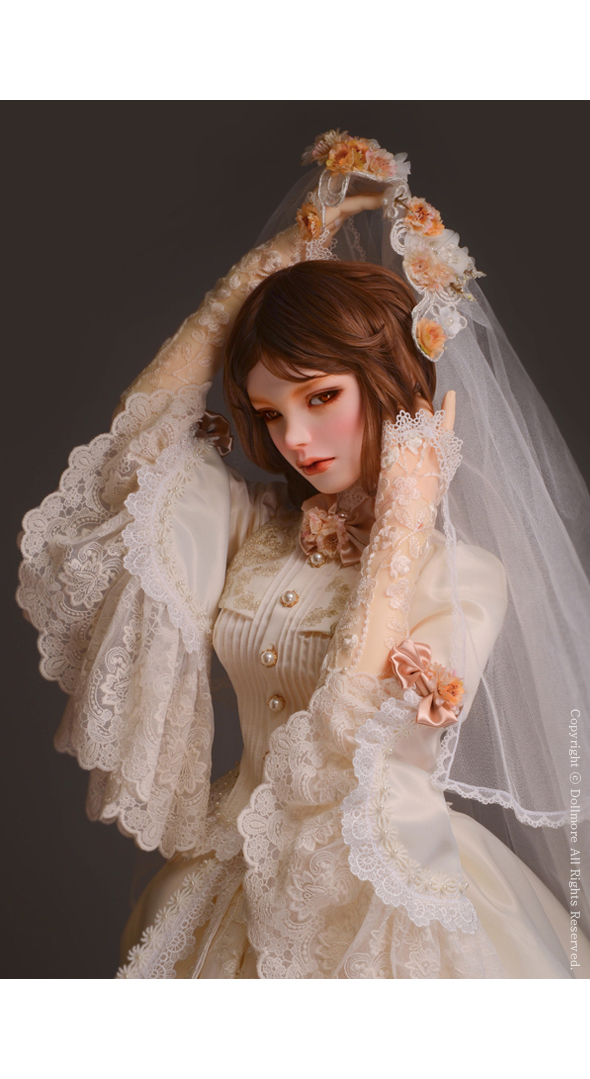お得格安送料無料[Dollmore] 球体関節人形 Trinity Doll - Fake Wedding klaire - LE10 本体